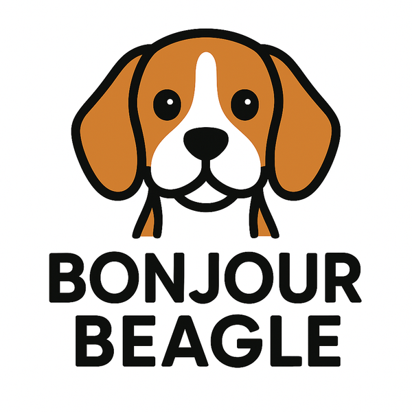 Bonjour Beagle